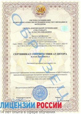 Образец сертификата соответствия аудитора №ST.RU.EXP.00006191-3 Курган Сертификат ISO 50001